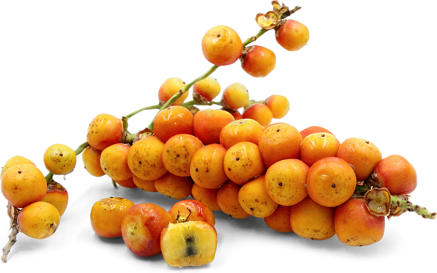 Jelly Palm Fruit