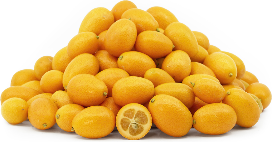 Nagami Kumquat