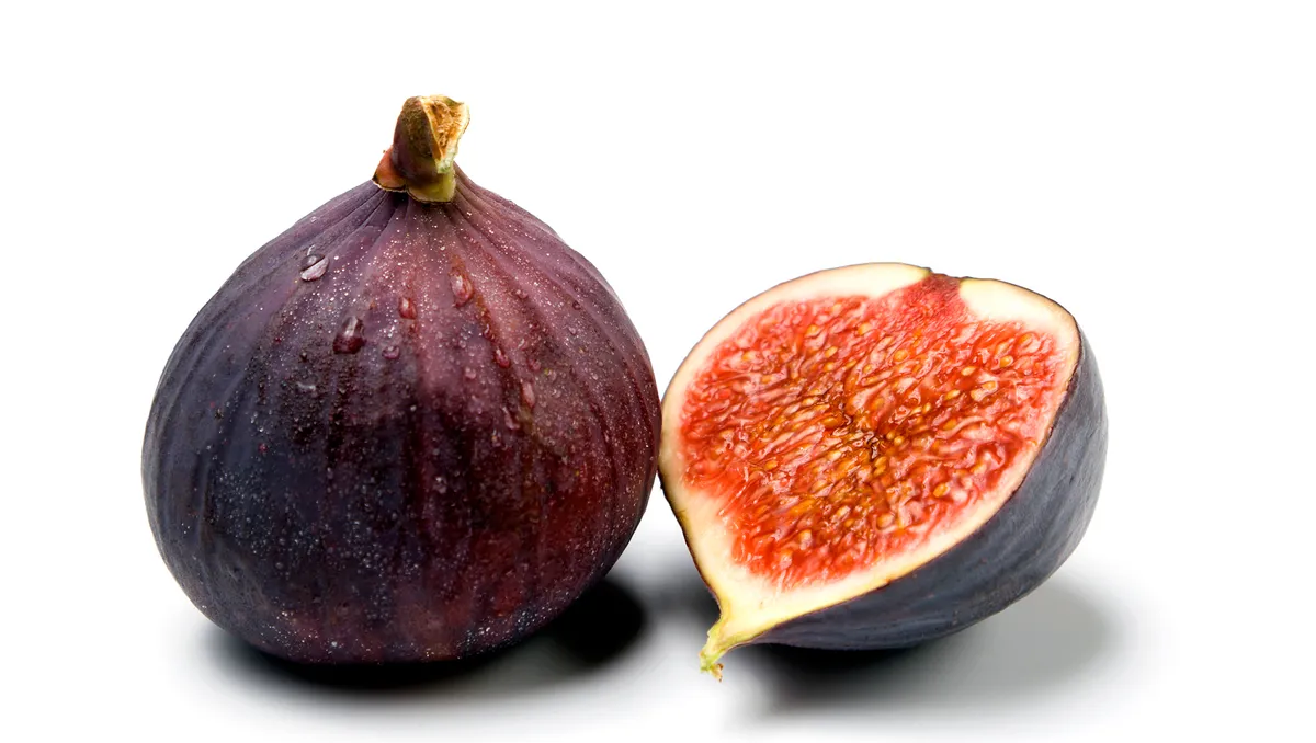 Naples Fig