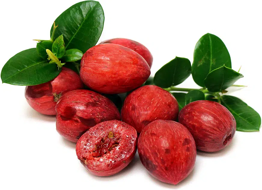 Natal Plum