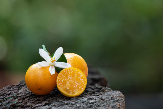 Neroli