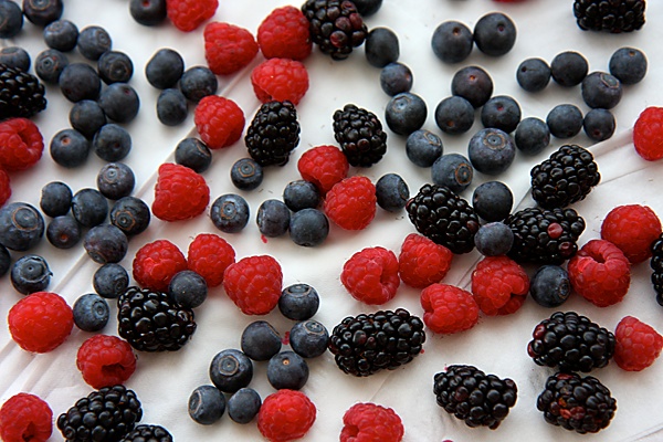 Nilgiri Blackberry