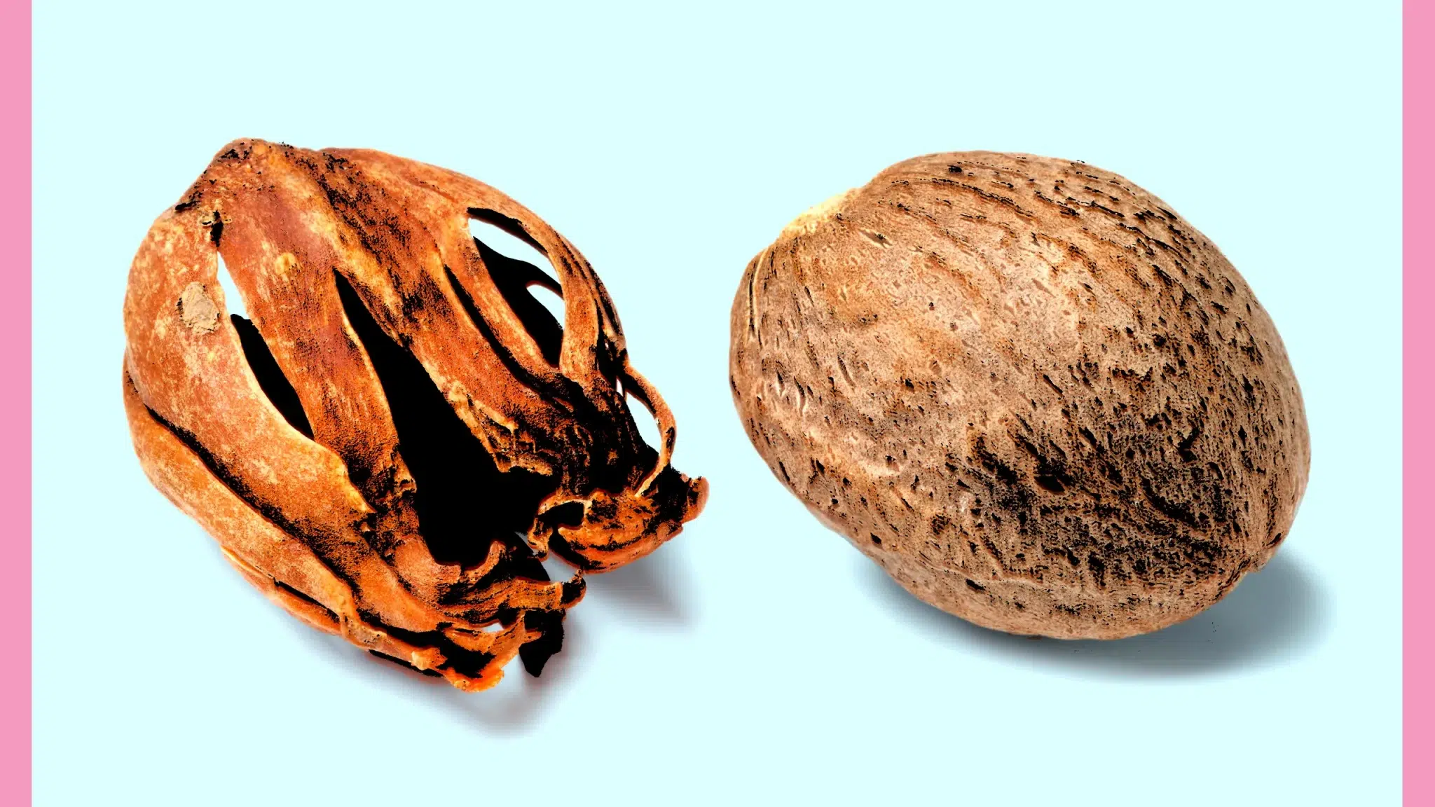 Nutmeg Fruit