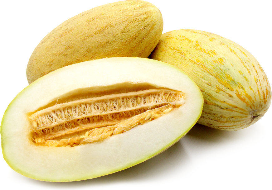 Torpedo Melon
