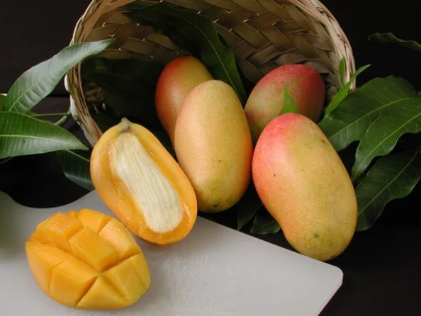 Valencia Pride Mango