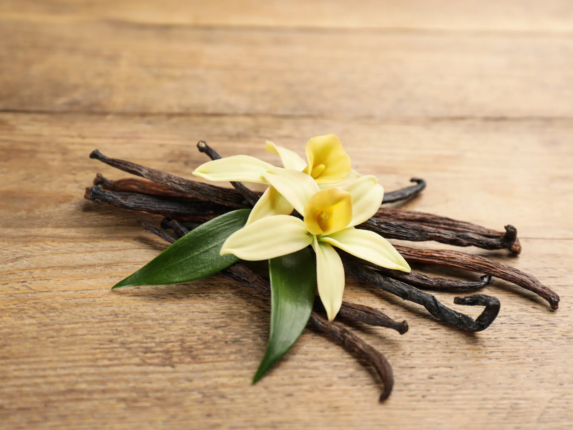 Vanilla Fruit