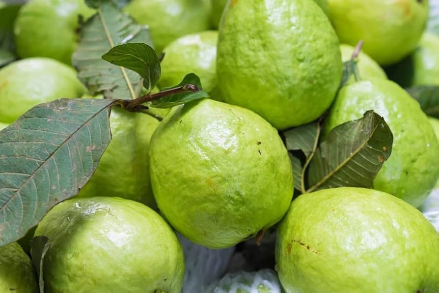 Vietnamese Guava