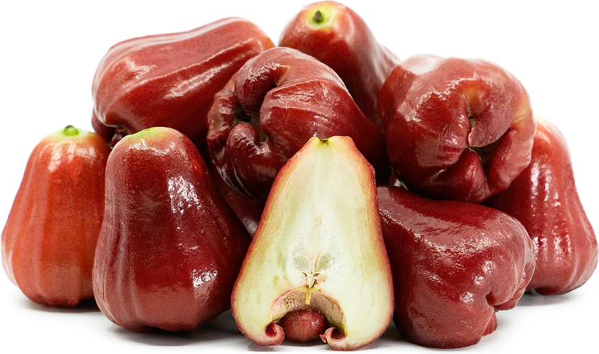 Wax Apple