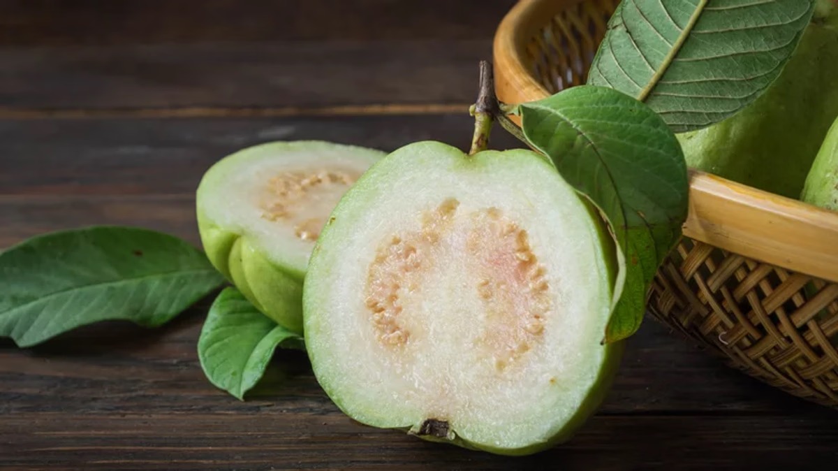 White Guava