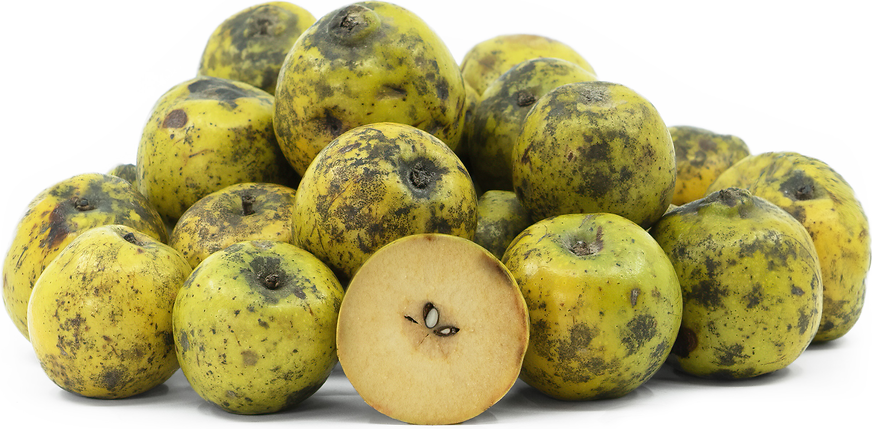 Wild Apple