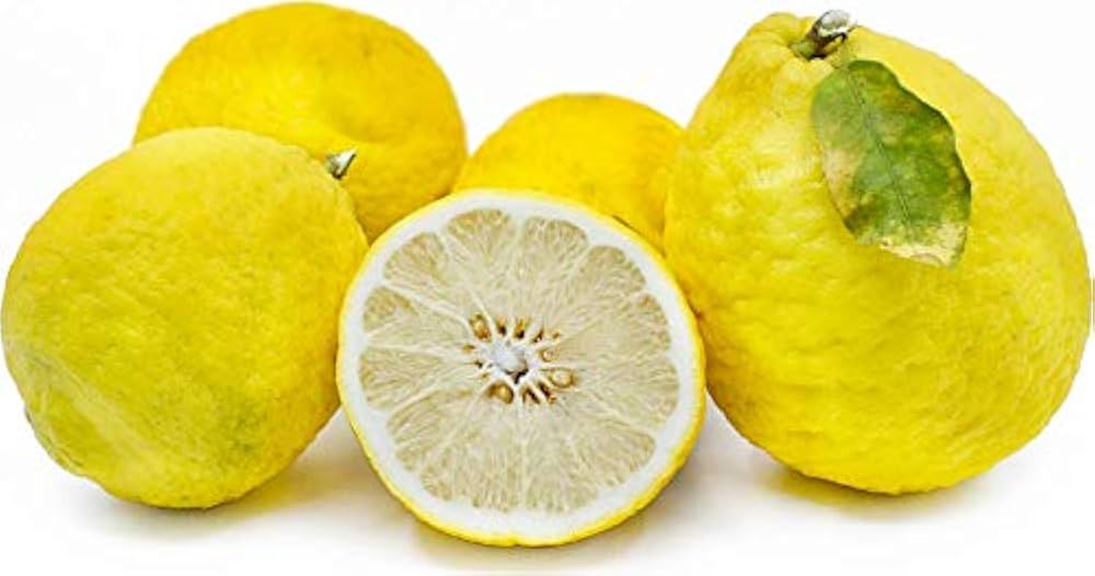 Wild Lemon