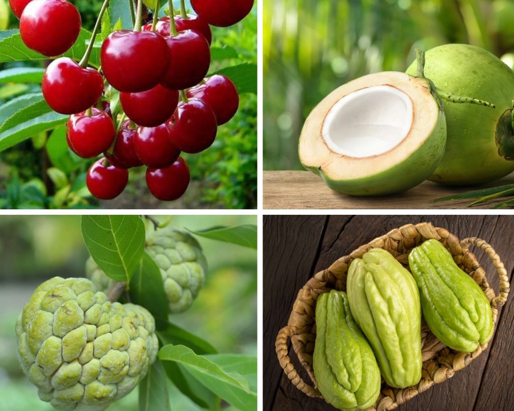 Fruits that Start with C