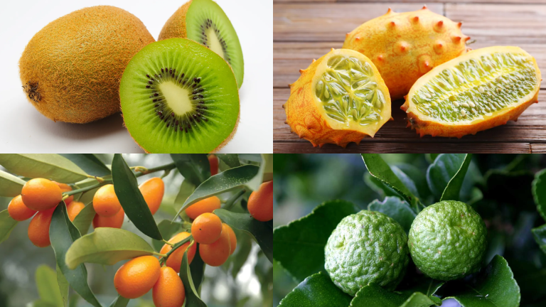 27 Fruits that Start with K with Facts and Pictures 