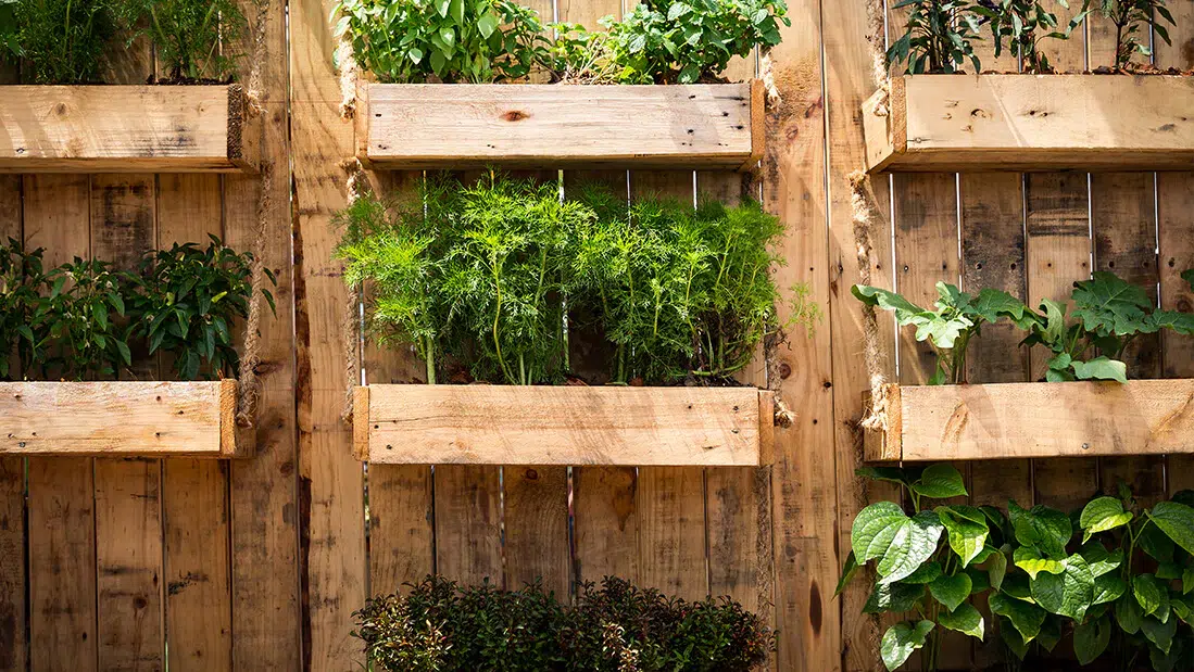 Make Use of Vertical Gardening