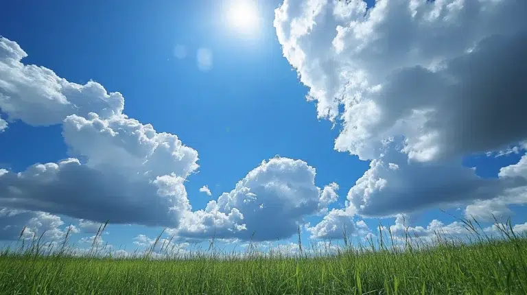 Understanding the Weather: Teaching Kids About Clouds Through Art