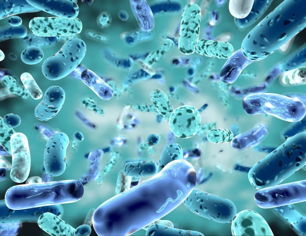 The Role of Probiotics in Restoring Gut Health