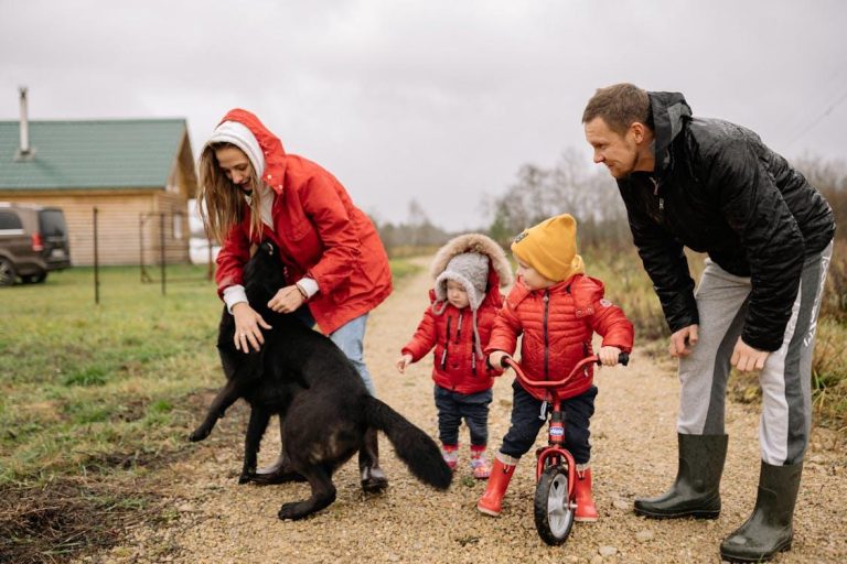 What to Consider Before Getting a Dog