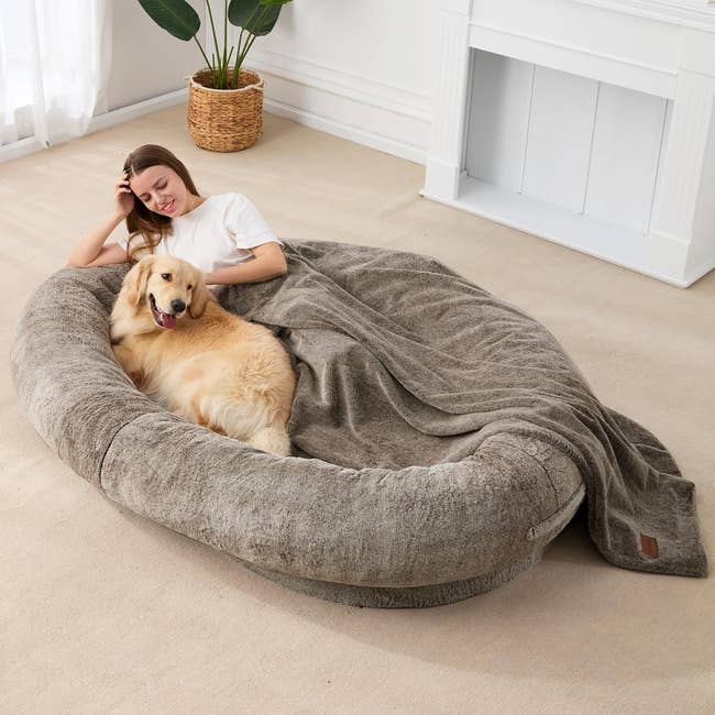 Comfort Over Everything: Comfort Over Everything