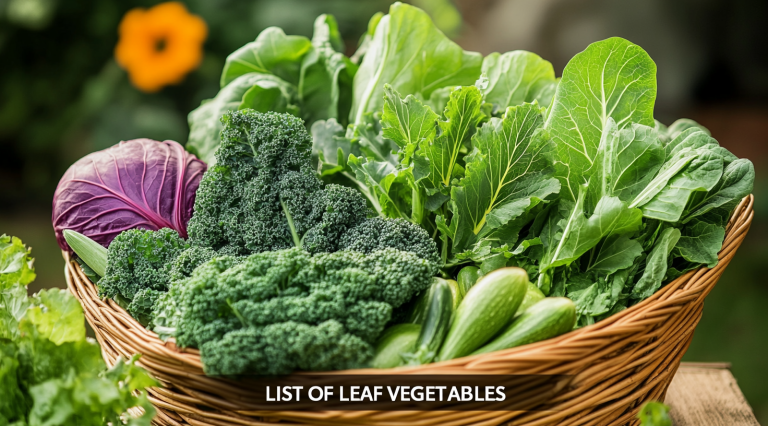 Leaf Vegetable