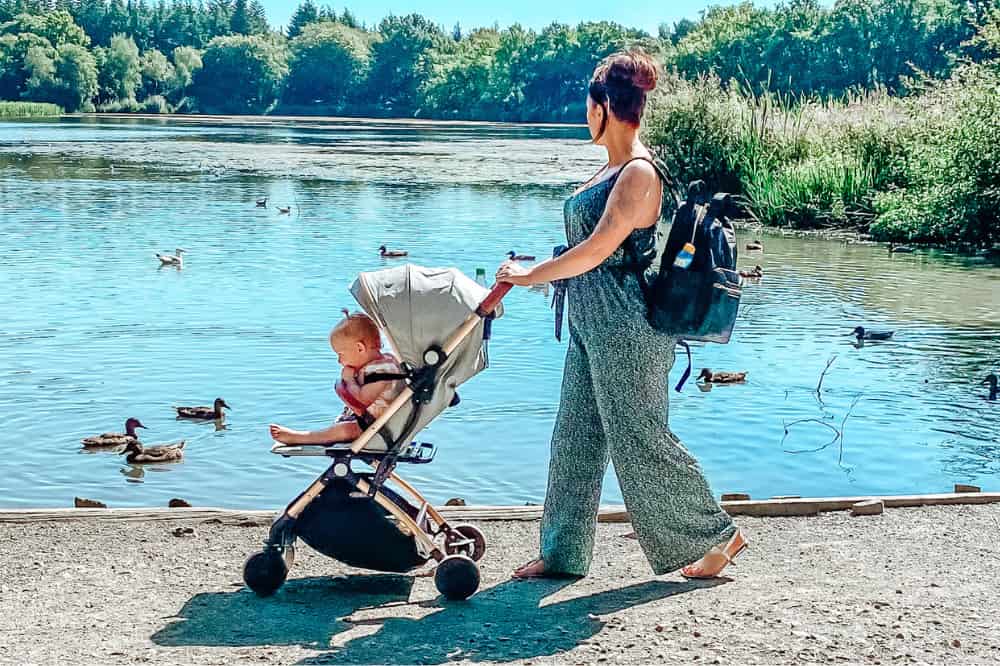 The Case for Baby Strollers