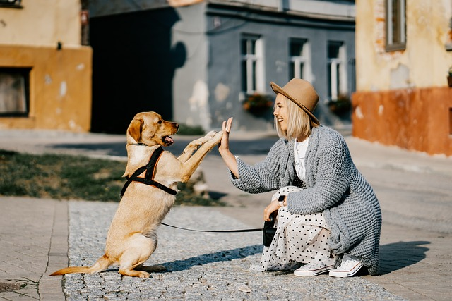7 Ways a Dog Can Enhance Your Life and Well-Being