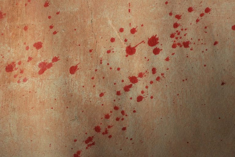 How to Choose the Right Blood Cleanup Company
