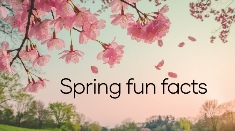 70 Top Spring Fun Facts You Need to Know