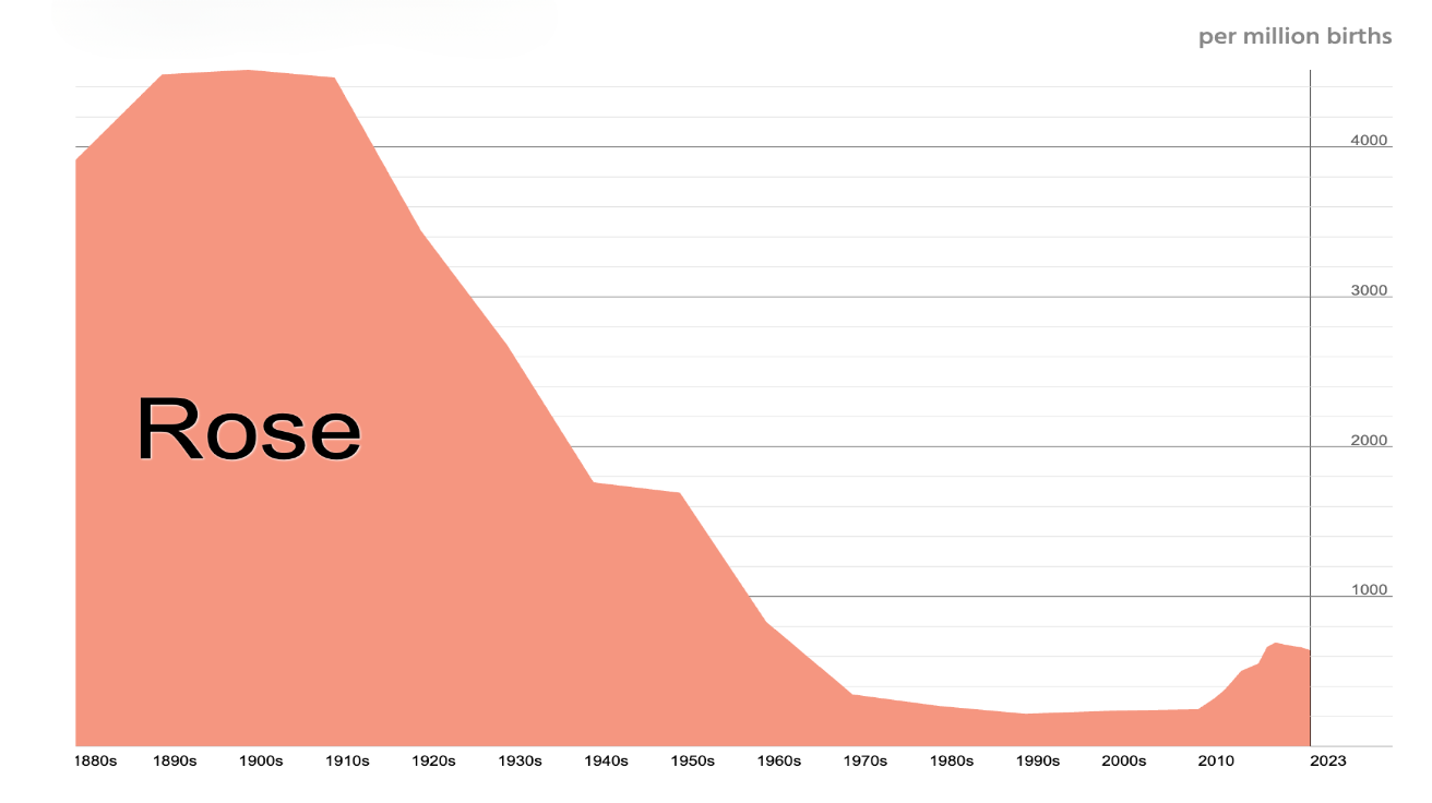 Popularity_Chart_US_Trends_rose