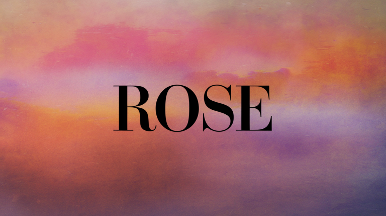 Rose Name Meaning: Origin, History & Modern Appeal
