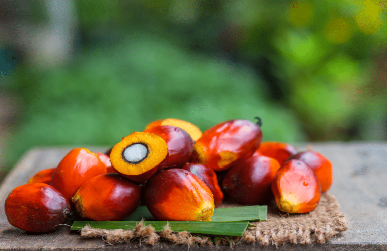 Batana Oil Uses
