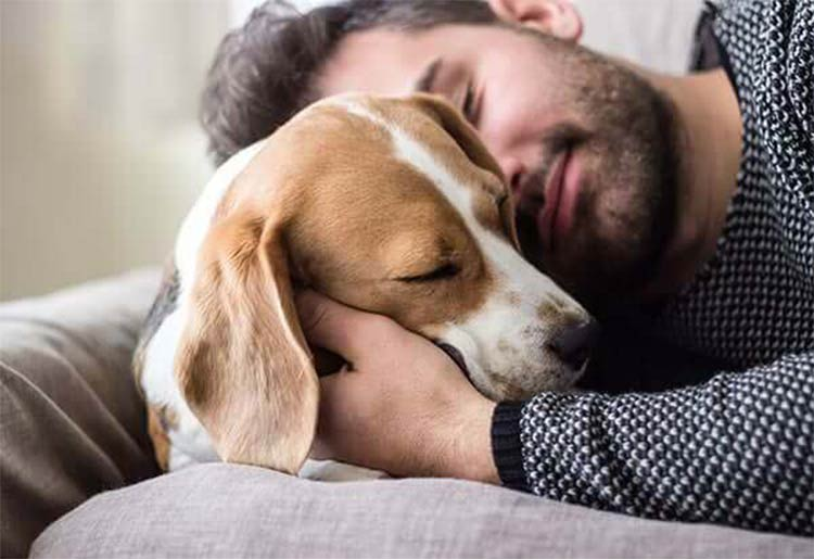 How A Pet Psychic Helps Your Furry Friend
