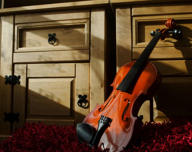 How to Assess the Quality of a Rental Violin Before Signing the Contract