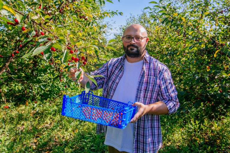 A man learning how to grow a cherry tree from seed.