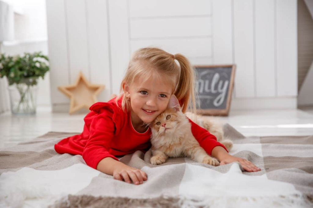 Maine Coons with a kid