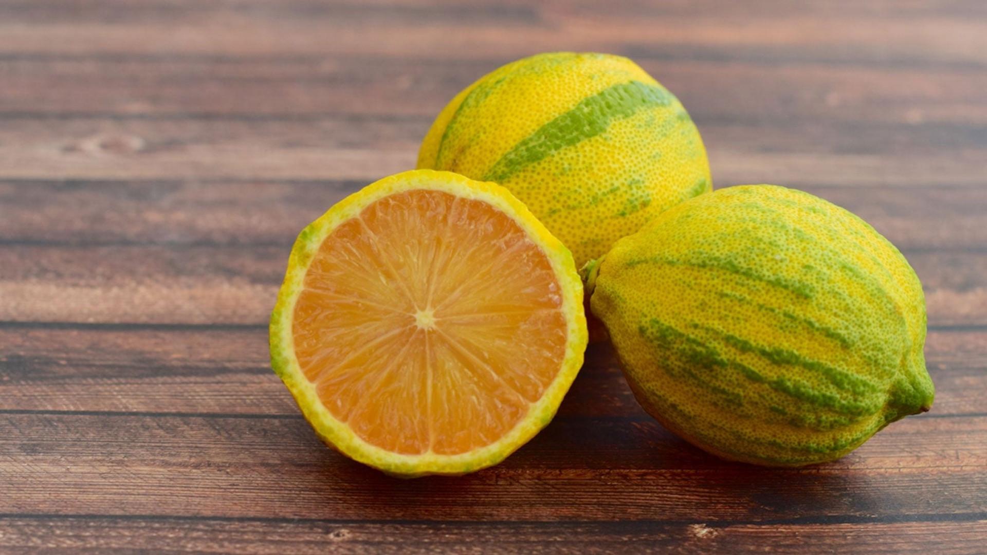 Variegated Pink Lemon
