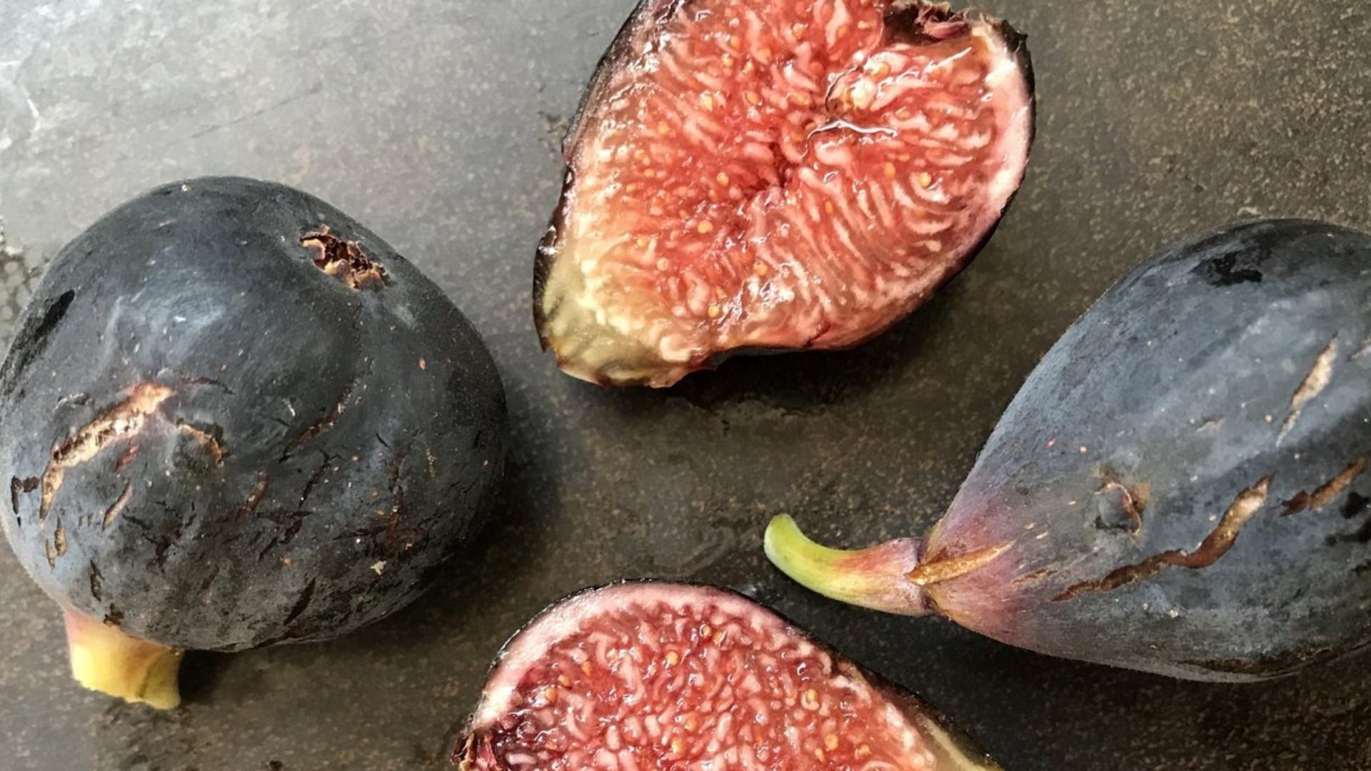 Violette De Bordeaux Fig
