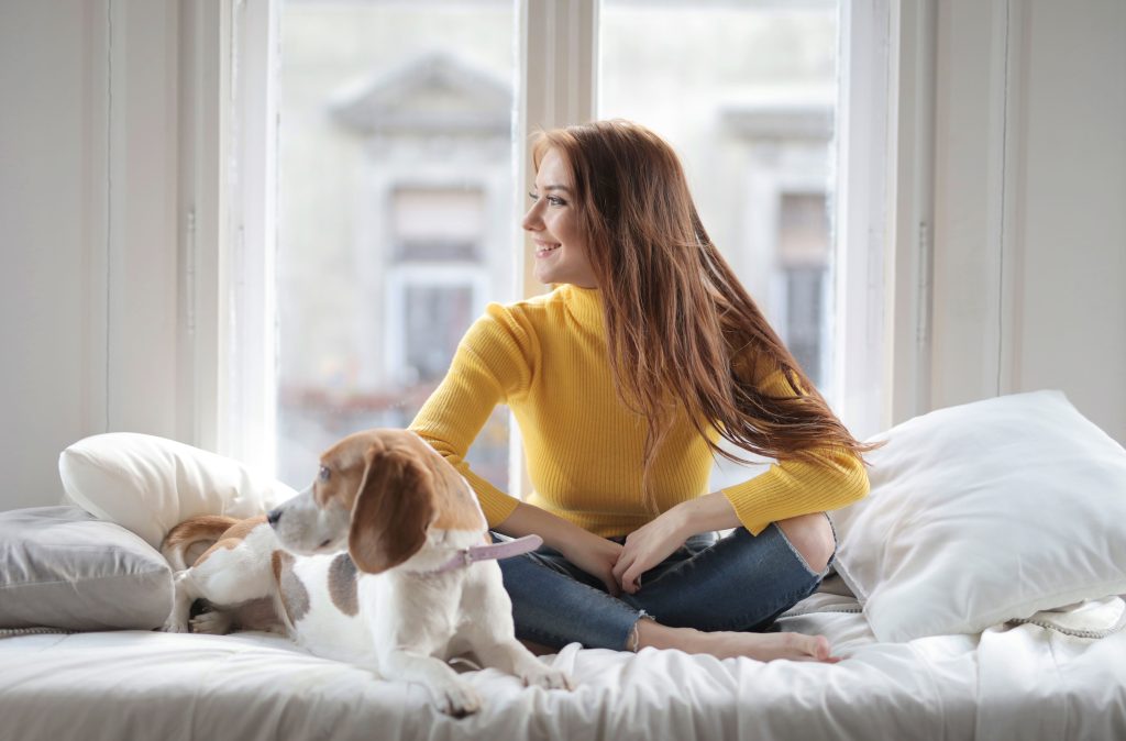 Finding a Home Away from Home: How to Choose the Perfect Dog Boarding Facility